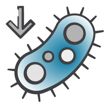 bacteria icon